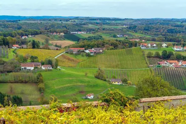 Vineyards surrounding medieval castle Riegersburg, Styria, Austria