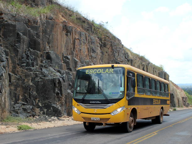 brazylijski autobus szkolny - school bus education transportation school zdjęcia i obrazy z banku zdjęć