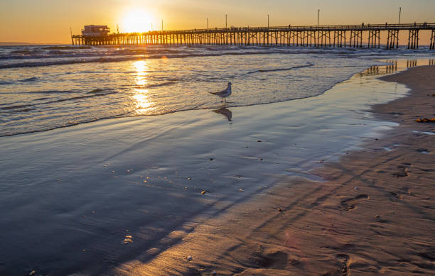 istock A walk beside the tide's edge at sunset 1289463039