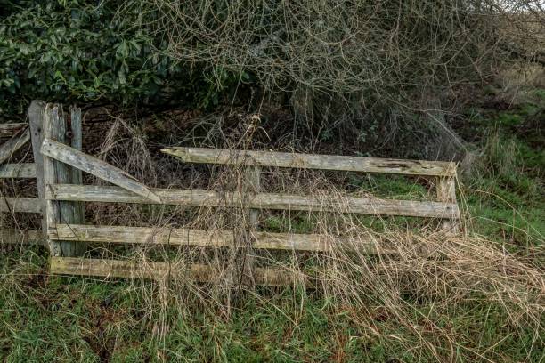 istock Old Wooden Fence. 1289464806