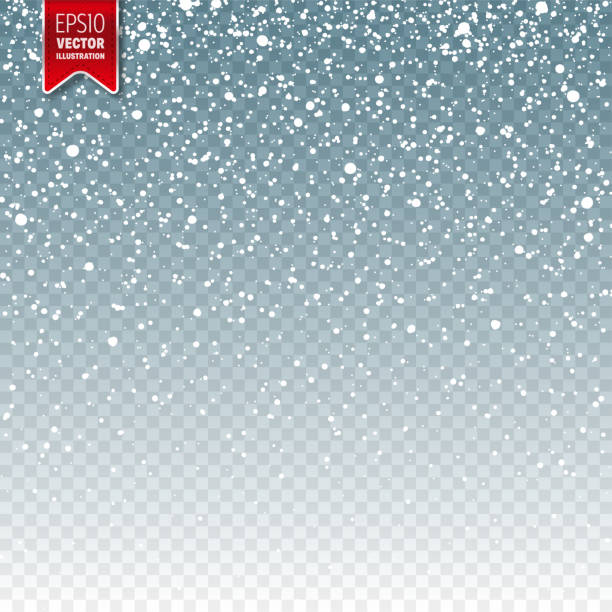 雪與雪花。耶誕節或新年假期的冬季藍色背景。降雪效果。霜凍風暴，降雪，冰 - 下雪 幅插畫檔、美工圖案、卡通及圖標