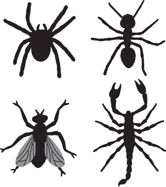 Vector illustration of Bug Silhouettes