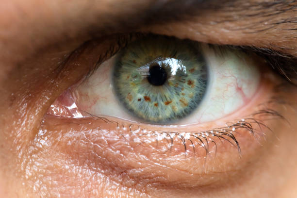 istock Closeup of man eye 1289469759