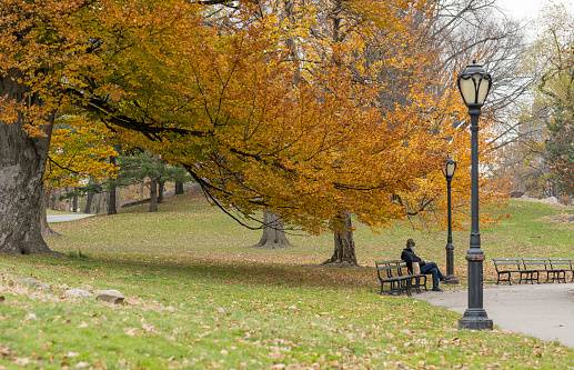 New York, NY, USA - December 5, 2020: A masked man sits in upper Central Park east of the East Drive near Mount Sinai Hospital.