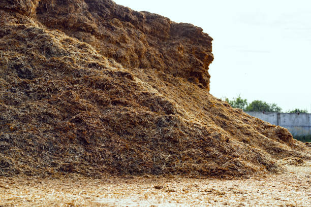 istock Large pile of dry hay on a farm 1289471884