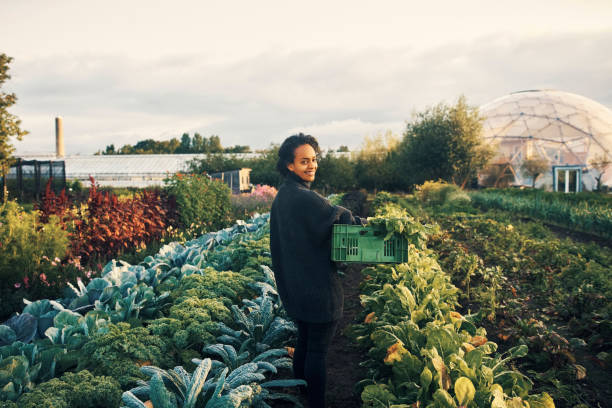istock Sustainable living is the way to go 1289473359