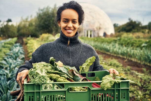 istock Oh so green and organic 1289473361