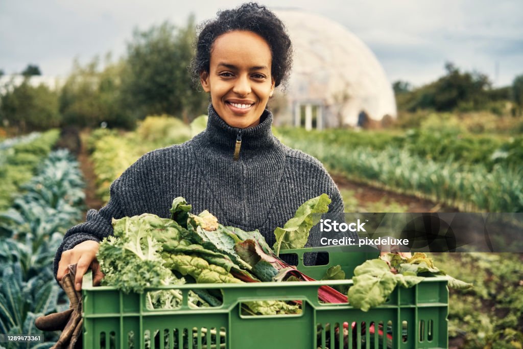 Oh so green and organic Portrait of a young woman holding a crate of fresh produce on a farm Farm Stock Photo
