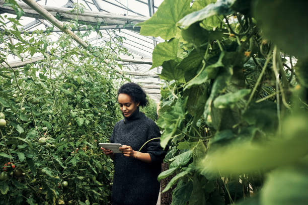 Using apps to monitor the latest harvest