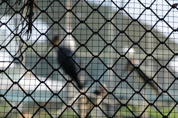 istock Wire mesh cage with blurry background,Animal cage 1289481123