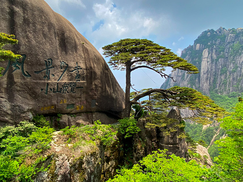 Huangshan, Anhui, China- May 23, 2020: The Yellow Mountains is one of the most famous and beautiful mountainous areas in China. It was listed as a World Heritage Site by UNESCO in 1990. Its spectacular natural scenery includes oddly-shaped pines and rocks, and mystical seas of cloud. It is one of the most visited scenic destinations in China. Here is the Oddly-Shaped Pine of the Yellow Mountains Greeting-guests Pine looks like a host flings arms out to welcome guest.