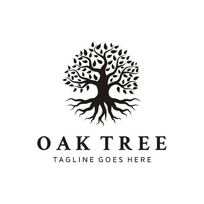 Tree Logo Design vector