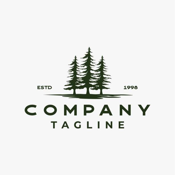 pine, Spurce, Cedar Tree Logo Design vector