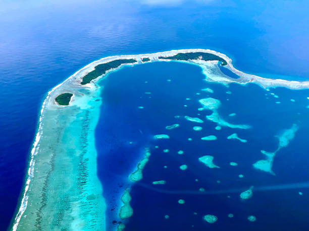 1,077 Motu Islet Stock Photos, Pictures & Royalty-Free Images - iStock 1,077 Motu Islet Stock Photos, Pictures & Royalty-Free Images - iStock