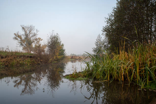 istock Light fog over the river with trees. Reflections on the water surface. 1289500878