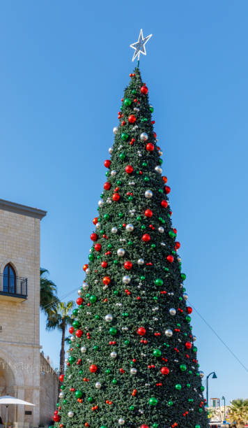 istock Green Christmas tree with star 1289508435