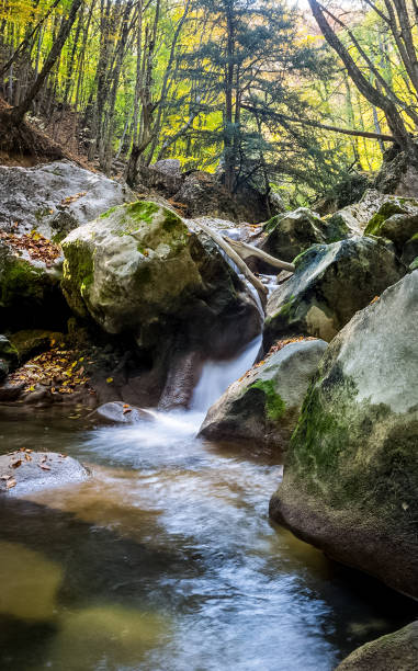 istock Mountain small river in forest with rapids and waterfalls. A forest creek. 1289511615