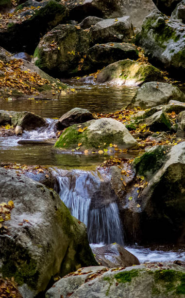 istock Mountain small river in forest with rapids and waterfalls. A forest creek. 1289511624