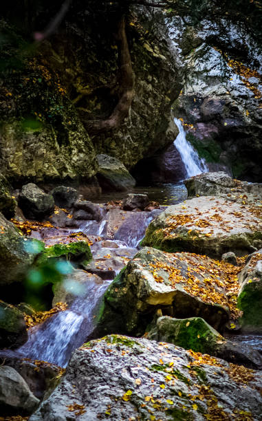 istock Mountain small river in forest with rapids and waterfalls. A forest creek. 1289511626