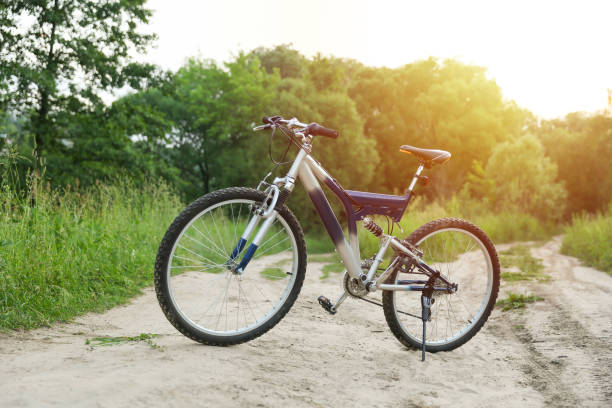 istock beautiful mountain bicycle is on sand road on green nature background 1289515071