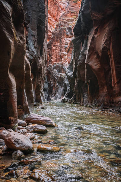 istock The Narrows Zion 1289518676