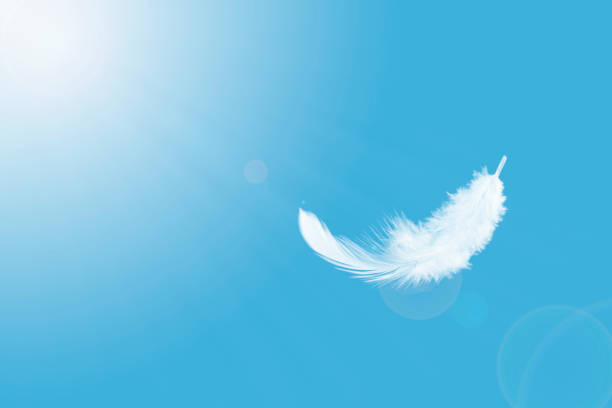 istock Light fluffy white feather floating freedom in a blue sky. 1289519414