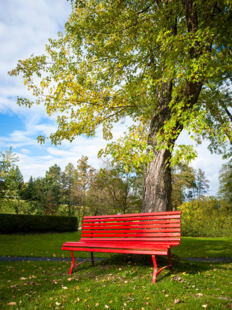 Cтоковое фото Пустая красная скамейка в парке