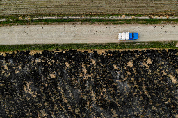 Burning agricultural lands