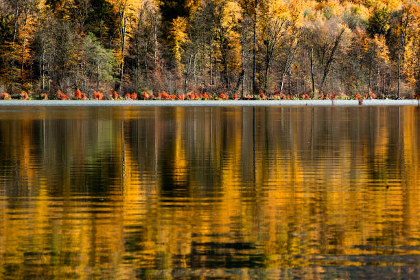 istock Autumn in Alandan Lake 1289524029