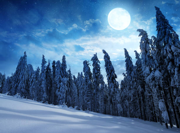 istock Snowy winter landscape in night. 1289526560