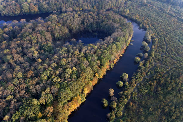 imágenes aéreas de bosques inundados a lo largo del río lonja en lonjsko polje, croacia - odra river fotografías e imágenes de stock