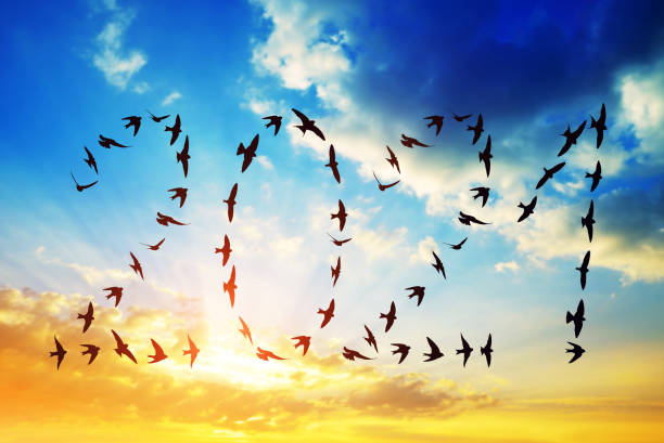 istock Birds flying in 2021 formation into the New Year. 1289528650