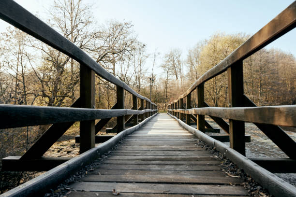istock Timber bridge without people at winter time 1289528752