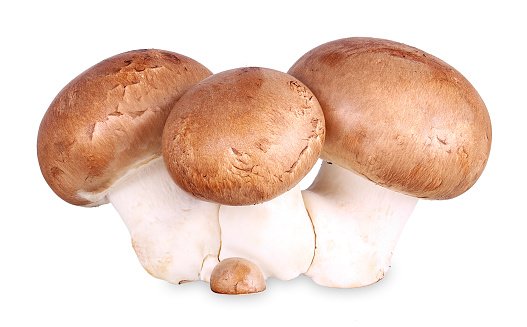 Brown mushrooms, also called stone mushrooms, as a group, isolated.