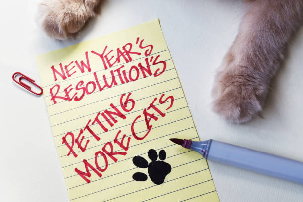 268 Funny New Years Resolutions Stock Photos, Pictures & Royalty-Free  Images - iStock