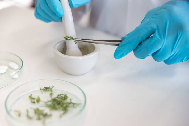 istock Lab Technician Research pharmaceutical or food industry, chemical 1289532746
