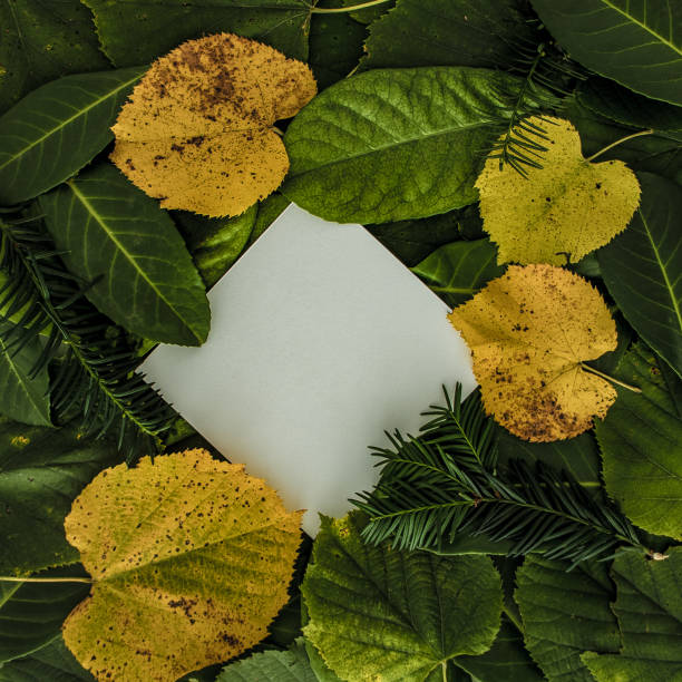 istock Creative autumn leaves concept background with paper card note. Flat lay 1289533682