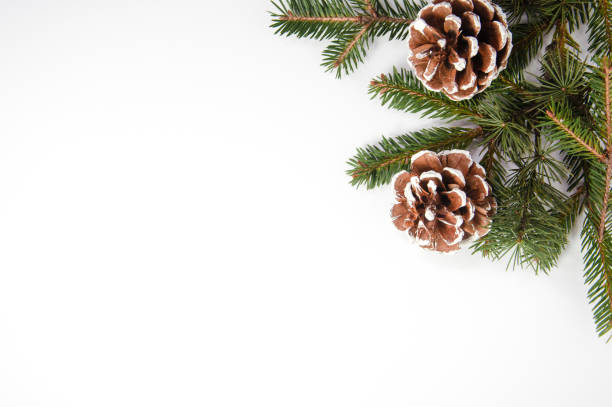 istock Creative Christmas composition made of fir tree and pine cone, Christmas ornament, winter frame, flat lay, top view 1289533705