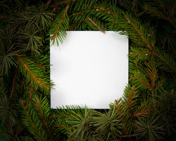istock Creative layout  made of fir tree branches with white square shape paper, Christmas and New Year's card concept, flat lay, top view 1289534867
