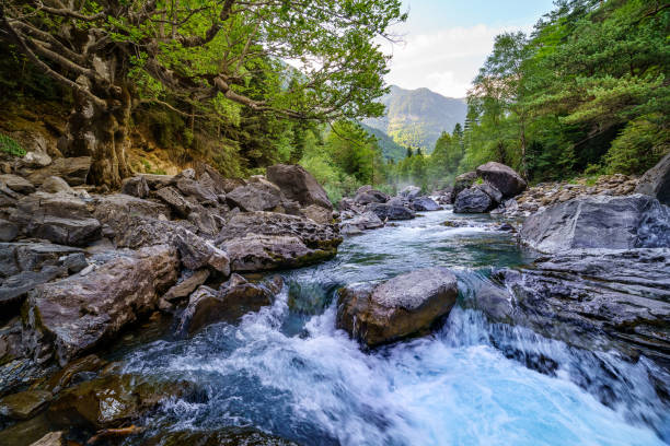 istock Forest landscape with fast and clean river, big trees and rocks. Pyrenees, Ordesa. Rest and nature excursion 1289537767