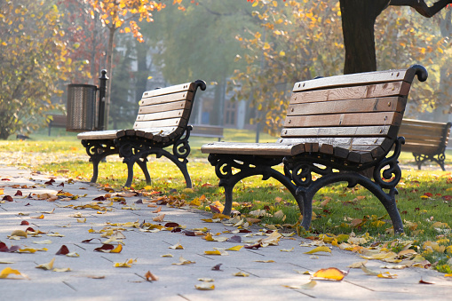 Two empty wooden and iron benches in the public park on a sunny autumn morning with fallen leaves