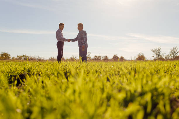 Full body side view of male farm owner and agronomist standing in middle of green grassy field and discussing professional issues in summer day in countryside Full body side view of male farm owner and agronomist standing in middle of green grassy field and discussing professional issues in summer day in countryside colleagues outside stock pictures, royalty-free photos & images