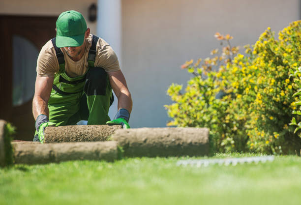 istock Natural Grass Turfs Installation Job 1289543354