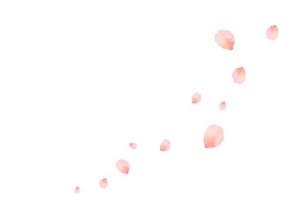 桜イラスト、水彩画、手描き - 桜吹雪点のイラスト素材／クリップアート素材／マンガ素材／アイコン素材
