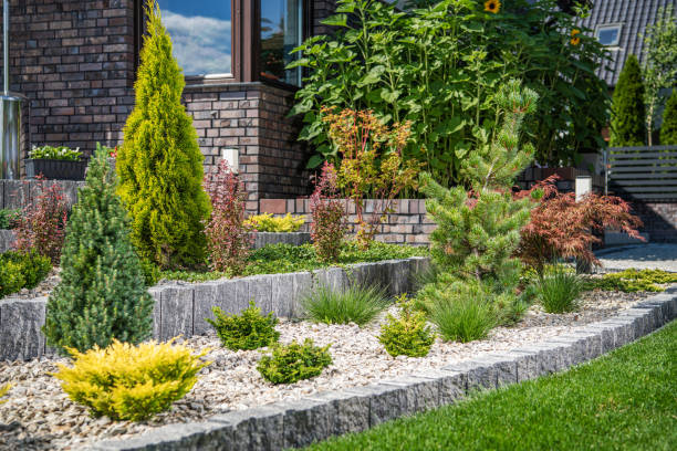 jardin de rocaille d’arrière-cour avec de petites usines - terrain paysagé photos et images de collection