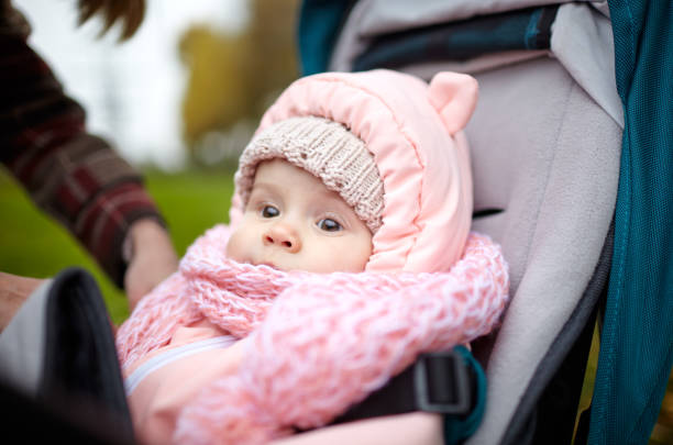 istock Baby in stroller on a walk in autumn park 1289546506