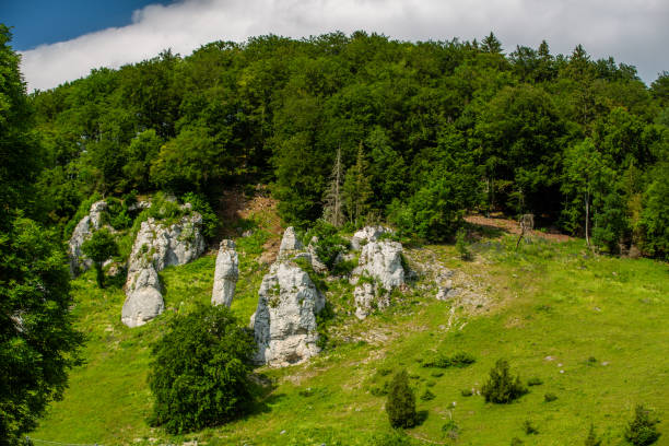 istock Rock pins in lautertal 1289549585