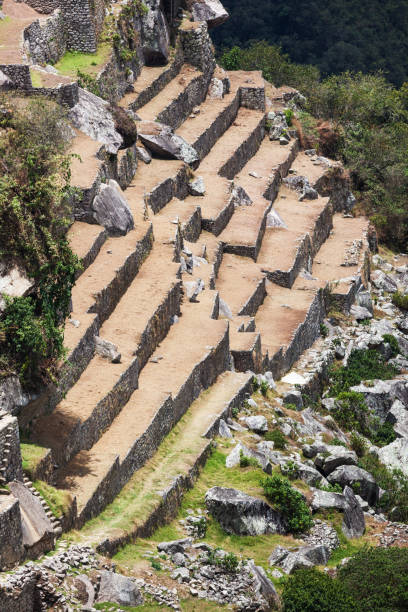 istock old terraces and ruins in Machu Picchu 1289554025