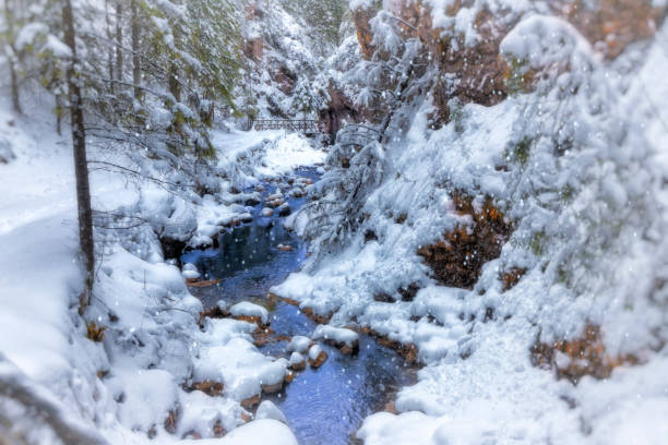 Fresh Snow Covered Creek Winter Wonderland Landscape - Flowing creek in pristine mountain wilderness after a fresh snow storm. Scenic nature scene.
