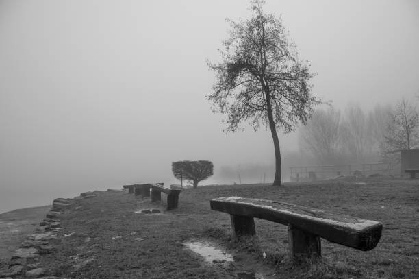 istock Lake Alserio, Co, Italy 1289556234